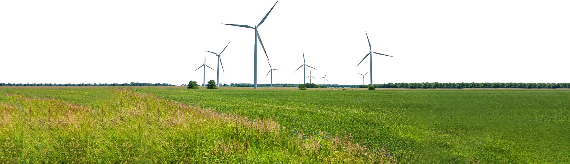 windmuelen_breit